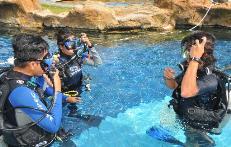 equipment set is not included - rental fee of Rp310,000 per person per day 7 Coral Transplantation * Non-diver: Rp 150,000 / person Non-diver: Rp 180,000 / person Daily: 0800hrs - 1700hrs -
