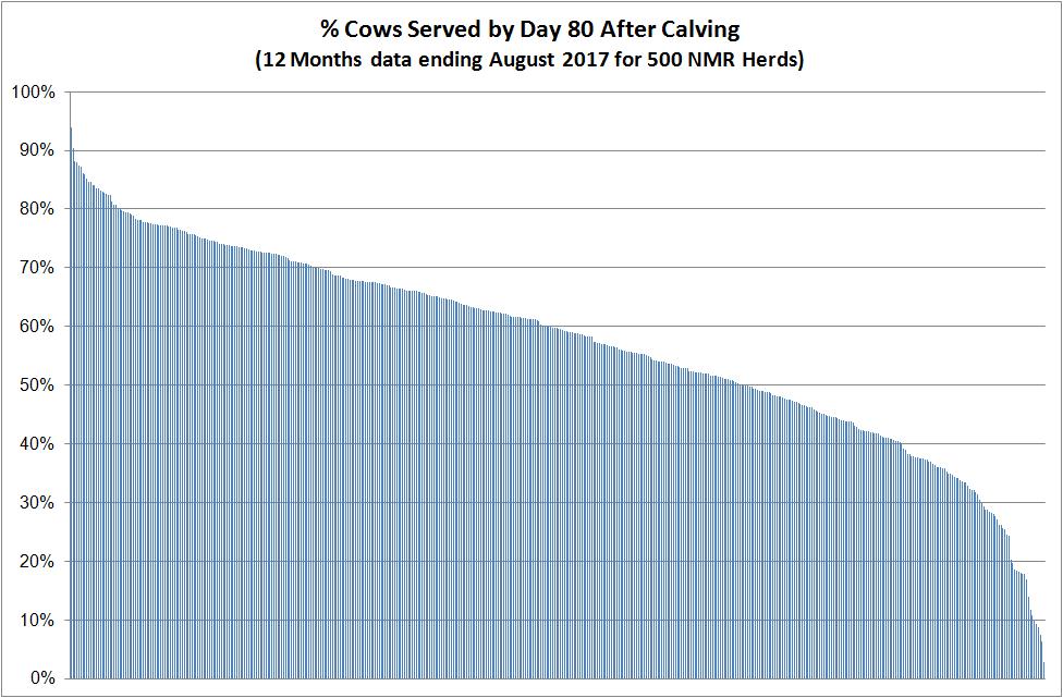 E. Served by day 80: The percentage of calving cows served at least once within 80 days of calving.