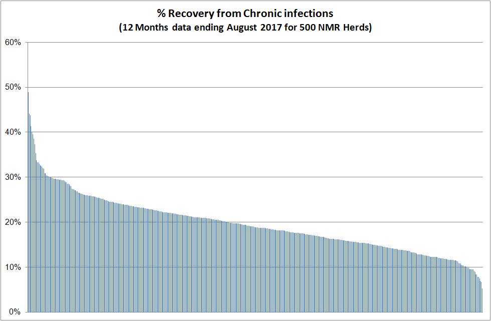 ZG. Recovery percentage of New/First/Repeat infections: Of HIGH SCC cows (>=200,000cells/ml) that at the previous recording were either low SCC or not yet in milk, the percentage that were LOW SCC
