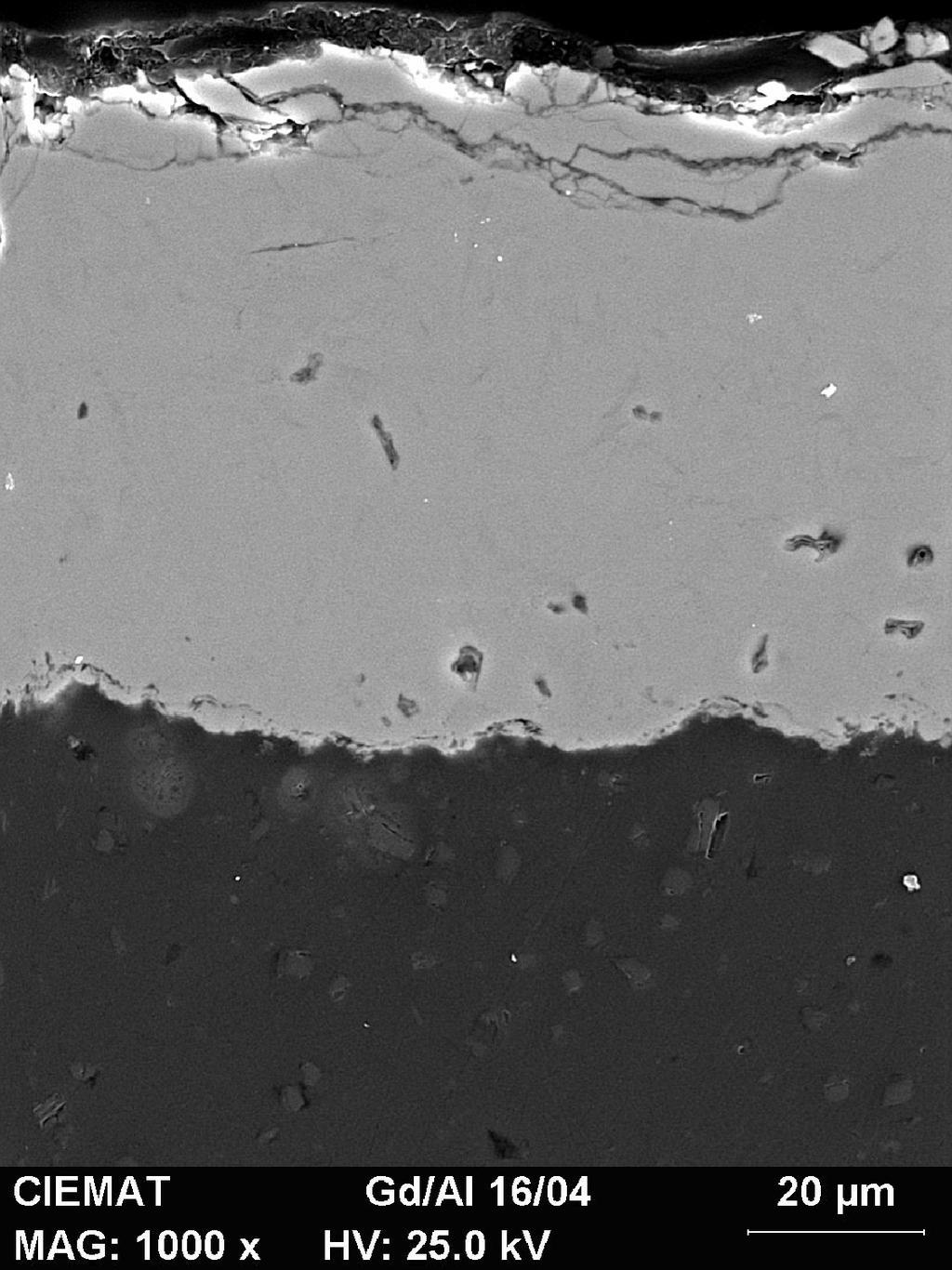 AgCl/Ag during 7 h, obtained by SEM. The deposit is quite compact, although in the photograph it is possible to observe cracks.