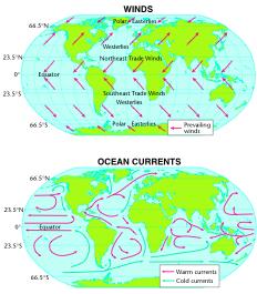 Heat Transport in the Biosphere The of Earth s surface drives winds and ocean currents, which transports heat throughout the biosphere. Winds form because air and air. The same thing happens with.