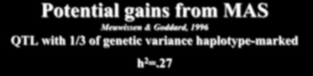 1 2 3 4 Potential gains from MAS Meuwissen & Goddard, 1996 QTL with 1/3 of genetic variance haplotype-marked h 2 =.