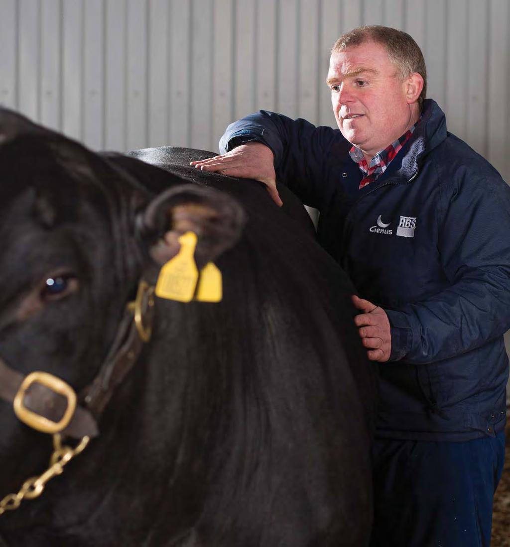 Our people deliver the easiest-calving beef sires proven.