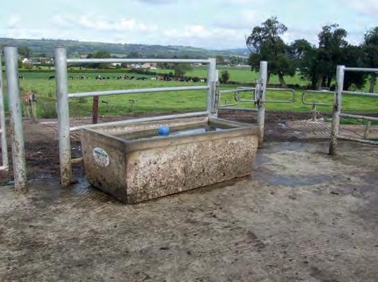 Continued from page 18. Water is available at all times in and next to the milking area.