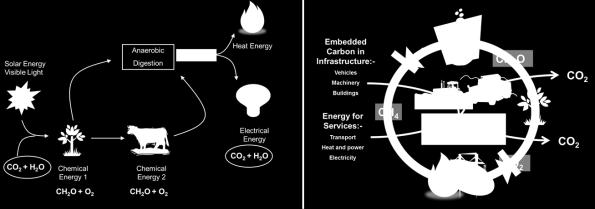 Energy Flows and Carbon Emissions: Anaerobic Digestion Synopsis In the production of energy using anaerobic digestion (AD) both energy and carbon flow through the entire process.