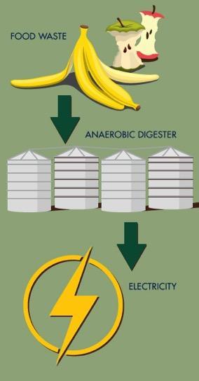 BioDigestion - Anaerobic Digestion Diverts organic waste food, green and agricultural from landfills; Produces bioelectricity, heat & renewable Natural