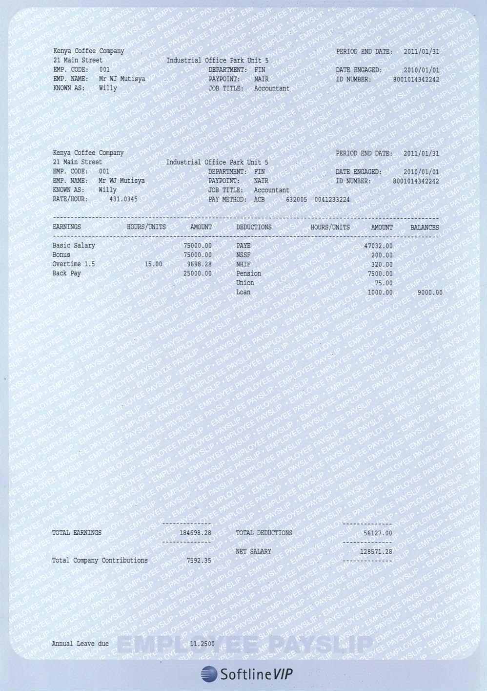 Example - Payslip VIP Africa division +27 (0)12 420