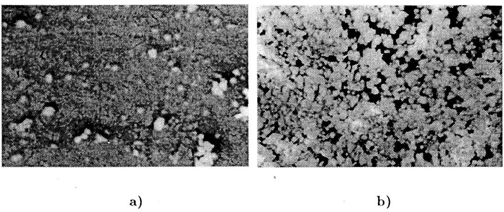 Fig. 7. Scanning electron micrograph of Bi 2 S 3 films at different annealing temperature; a) d 860 nm, heated at 52