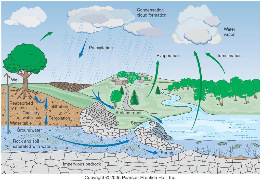 How are groundwater and surface