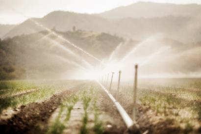 Case Study: Water saving Irrigation in China Water-saving irrigation (low pressure pipes, spray irrigation and micro or drip irrigation) has enhanced climate change adaptation capacity, improved