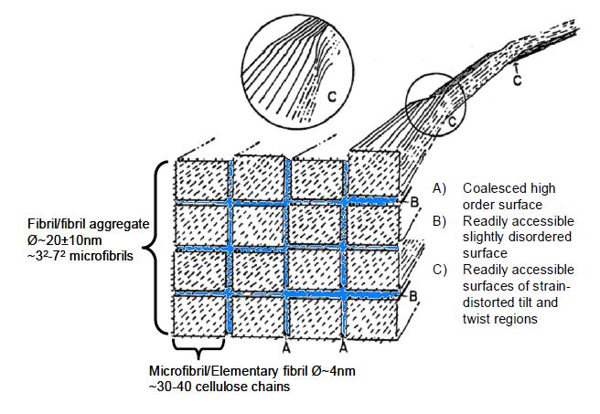 Figure 3 Approximate sizes of microfibrils and fibrils in wood pulp fibers and a theory of cellulose crystallinity [5]. 3. Fines fraction By definition fines fraction of a pulp - is that fraction which passes a screen or a perforated plate with a diameter of the holes of 76 µm (mesh of 200) [9].