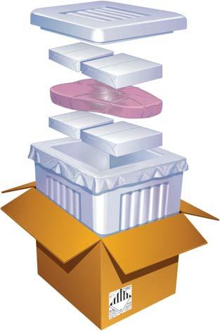 Pack It: Perishables Examples: Meats Keeping Products Frozen During Transit Fruits Freeze products prior to packaging. Plants Pre-cool the expanded polystyrene (EPS) Seafood insulated container.