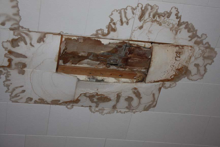 Note the severe water damage to the acoustic ceiling tiles and underlying roof materials caused by openings