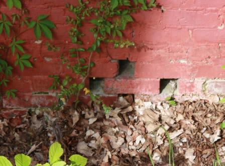 Foundation and Wall Deterioration- As stated previously
