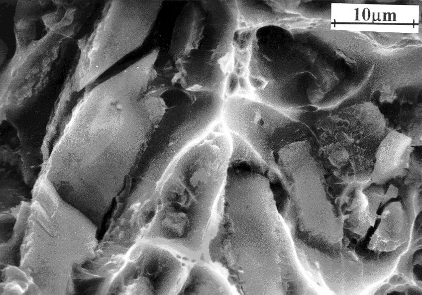 182 F. BONOLLO ET AL. Figure 12. Fractured surface of the 6061MMC impact tested at RT. Figure 13. Fractured surface of the 2014MMC impact tested at RT.