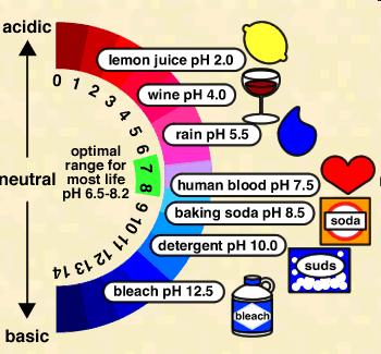 What is ph? Soil ph is a measure of soil acidity or soil alkalinity.