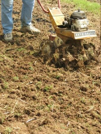 matter break down Reduces soil compaction Exposes