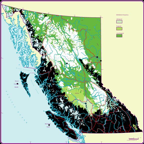 BC Distribution of White spruce (Sw) Range of White spruce