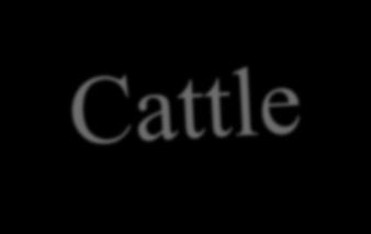 Is the Cattle Cycle Dead?