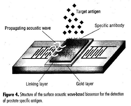 Other Sensor Designs Surface Plasmon Resonance Surface