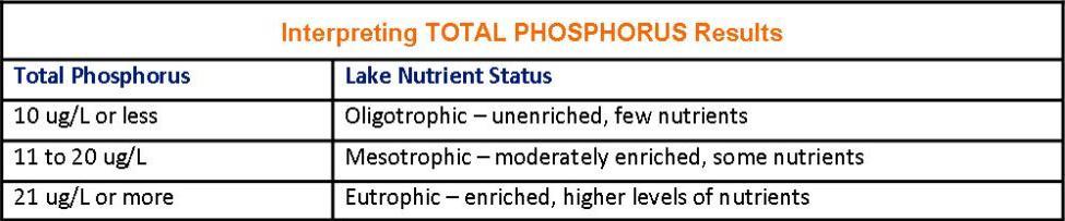 PHOSPHORUS RESULTS (ug/l)