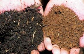 Current Understanding of Soil Health Emphasis on soil as a living system - shifting focus to