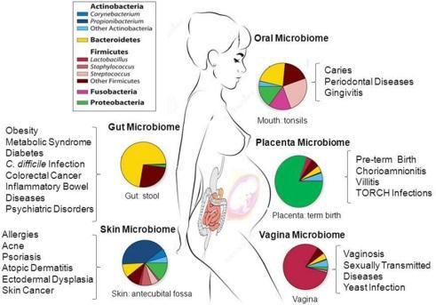 Human Microbiome Project Our body organs contain