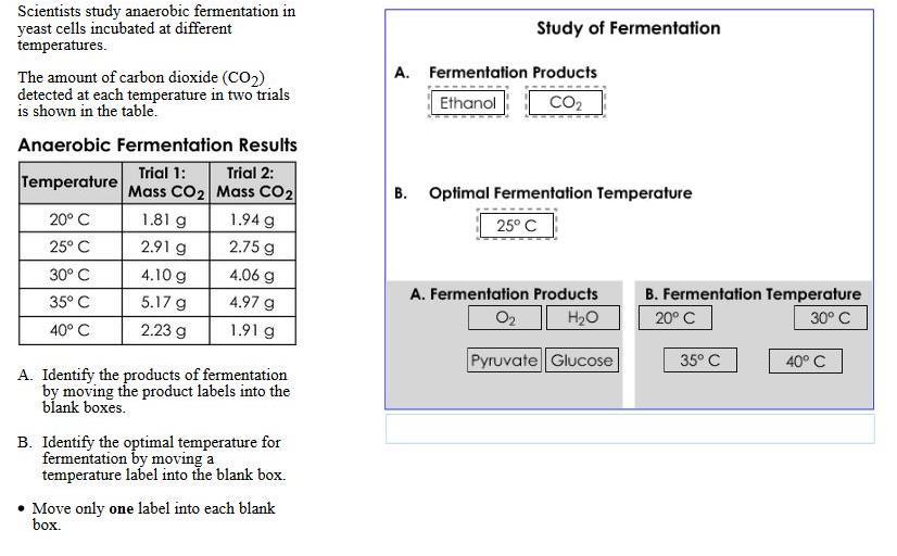 Sample Response: 1 point Notes on Scoring This response earns partial credit (1 point) because it incorrectly enters 25º C as the optimal temperature for fermentation.