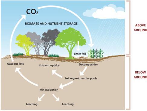Need for analytical tools To monitor the impact of complex land management strategies in enhancing SOC accumulation and storage To