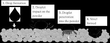 (a) (b) Figure 1. The formation of voxels in the BJ process (a) and the printer head dispending the liquid binder during the printing process (b).