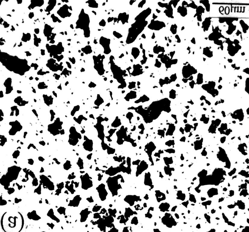 2 Pore size, morphology and distribution Shown in Fig. 2a and b are micrographs of porous NiTi alloys sintered at 1023 K-1 h and 1223 K-9 h, respectively.