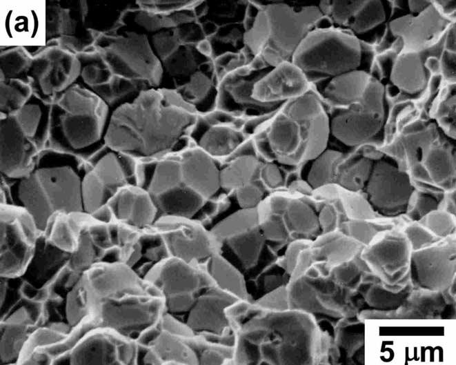 258 S.H. Hong, H.J. Ryu / Materials Science and Engineering A344 (2003) 253/260 Fig. 8. (a) The variation of the tungsten particle size with secondary sintering time for two-stage sintered 93W/5.