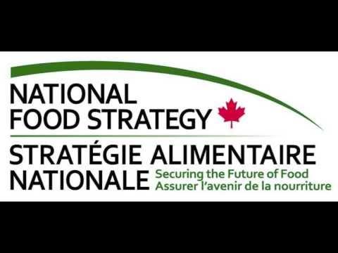 Canadian organizations have been contributing to the food policy landscape Food policy