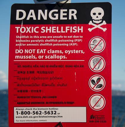 Seafood Consumption- Risks Metals: e.g.
