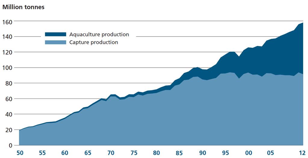World Capture Fisheries and Aquaculture Production
