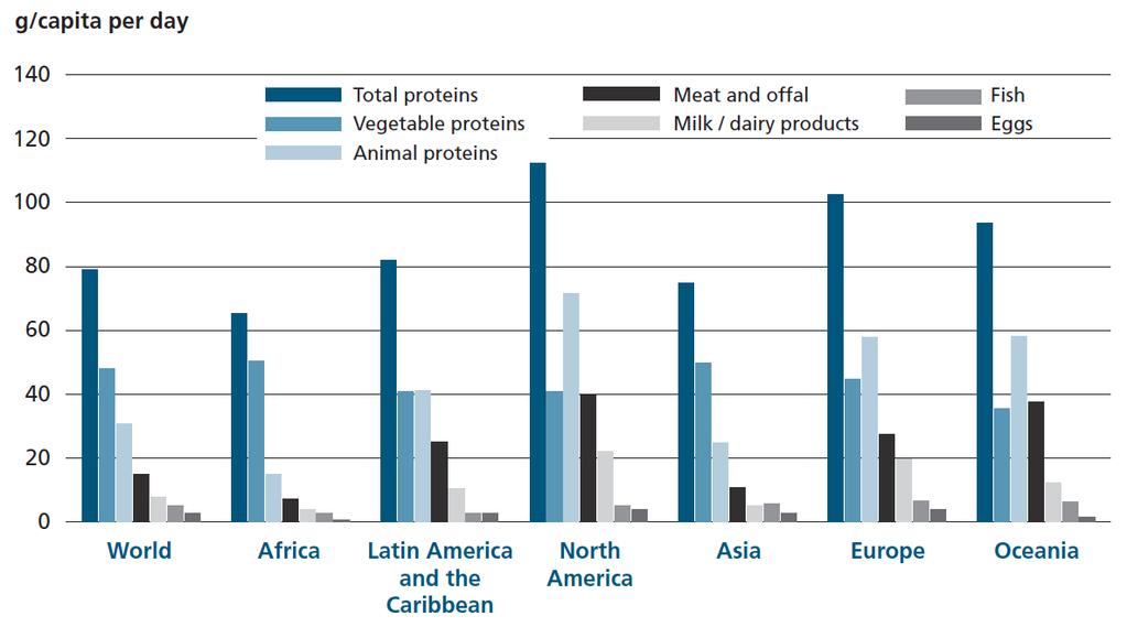 Protein Requirement FAO State of