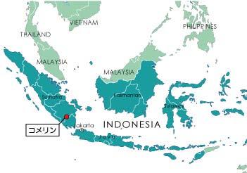 Indonesia Komering Irrigation Project(2) Field Survey: July 2003 1.