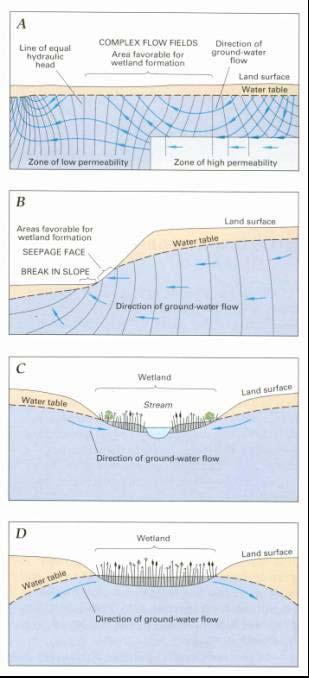 26 Guidelines for the Assessment of Groundwater Abstraction Effects on Stream Flow Figure 7 The source of water to wetlands can be from groundwater discharge where the land surface is underlain by