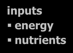 destroyed nutrients can only cycle biosphere inputs energy nutrients Water Cycle Driving force is the