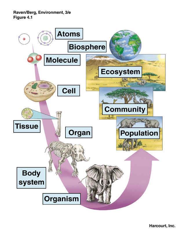 Environmental factors Living (Biotic)