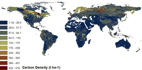 Two maps of climatically significant ecosystem properties