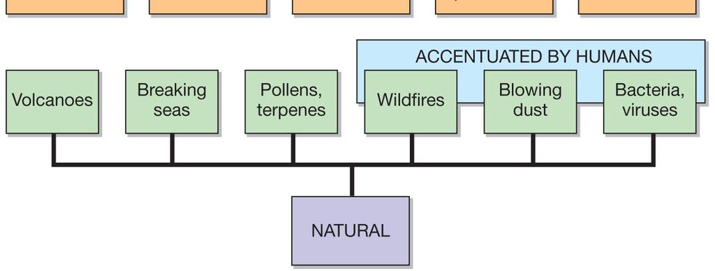 forms of natural air pollution.