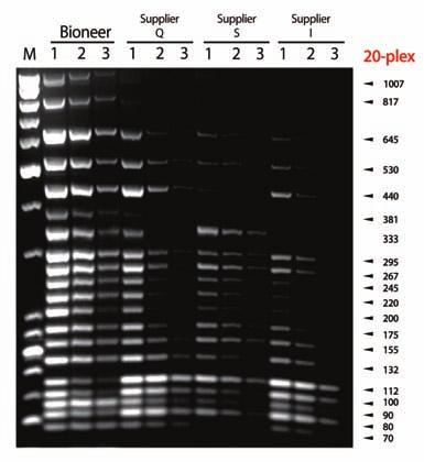 (Lane 1: Human genomic DNA 100 ng, Lane 2: Human genomic DNA 10 ng, Lane 3: Human genomic DNA 1 ng). All data were obtained using MyGenie TM 96 Gradient Thermal Block (Bioneer, Cat. no. A-2040-1).