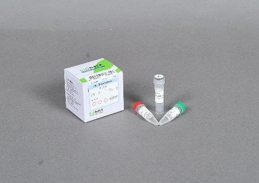 Pfu DNA Polymerase Novel Enzyme for High Fidelity PCR with DNA Proofreading Reagents Supplied 10X Reaction Buffer (ph 9.0): Tris-HCl, KCl, etc. 1X Dilution buffer (ph 8.