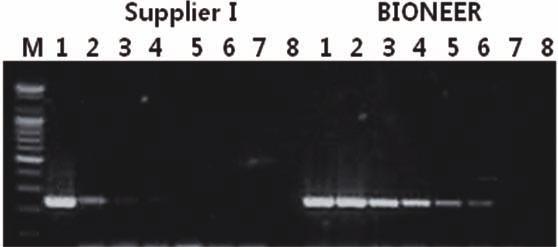 AccuPower RT-PCR PreMix Experimental Data Sensitivity Reproducibility Batch1 Batch2 Batch3 Batch4 M 1 2 3 4 1 2 3 4 1 2 3 4 1 2 3 4 Figure 1.