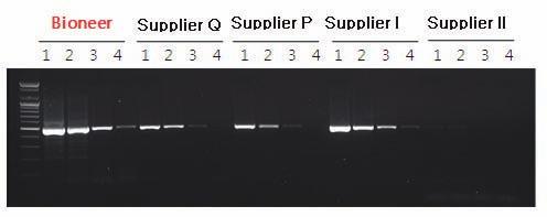 AccuPower RocketScript RT-PCR PreMix Experimental Data M Figure 1. Performance comparison between AccuPower RocketScript TM RT-PCR PreMix and competitor RT-PCR kits.