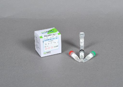 CycleScript Reverse Transcriptase High Performance cdna Synthesis Application First-strand synthesis of cdna from RNA molecules RT-PCR Random priming reaction Library construction Probe labeling mrna