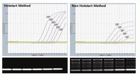 AccuPower Plus DualStar qpcr PreMix & 2X Master Mix Inhibitor-resistant Hotstart Real-Time PCR with TaqMan Probe, Dried-type Premix Specifications Enzyme: HotStart Taq DNA polymerase 5 to 3