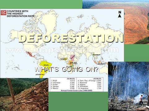 Global Deforestation Objective: Describe the
