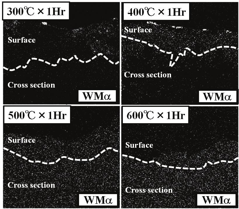 6 W-Mα maps: observation from cross section Mechanical properties The result of surface hardness measured by micro-vickers at 300 mn load after heattreatment is shown in Fig.7.
